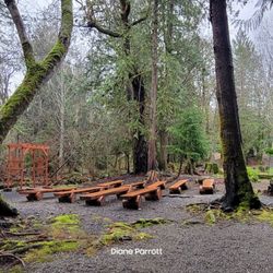 Robin Hood Village Resort - Wedding venue on their trail