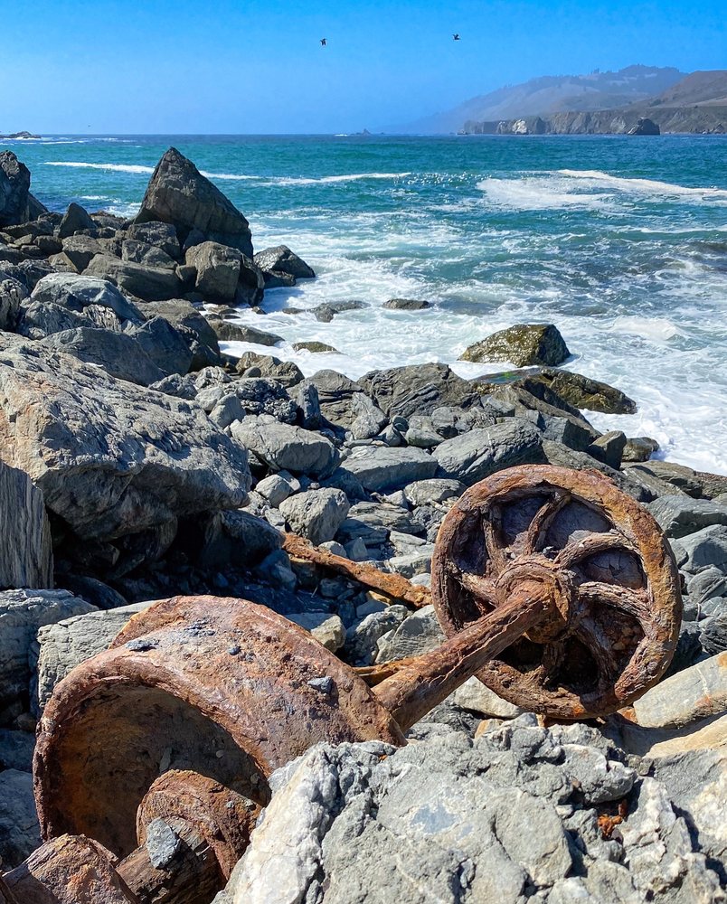 Goat Rock Beach
