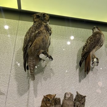 PEABODY ESSEX MUSEUM - Updated February 2025 - 862 Photos & 362 Reviews