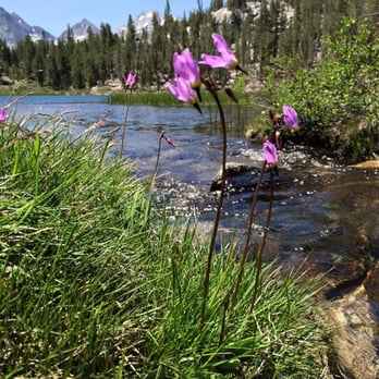 East Fork Campgrounds - Rock creek above the lake at heart lake - Campgrounds Near Me - Mammoth Lakes, California East Fork Campgrounds - Rock creek above the lake at heart lake - Campgrounds Near Me - Mammoth Lakes, California