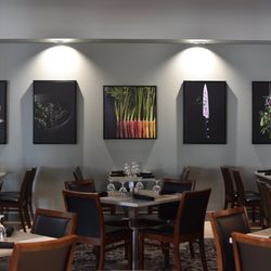 Portum Restaurant & Lounge - Main dining area