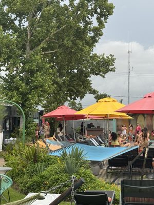 El Segundo Swim Club by null