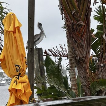 River Deck - View from inside seating. - Seafood Near Me - New Smyrna Beach, Florida