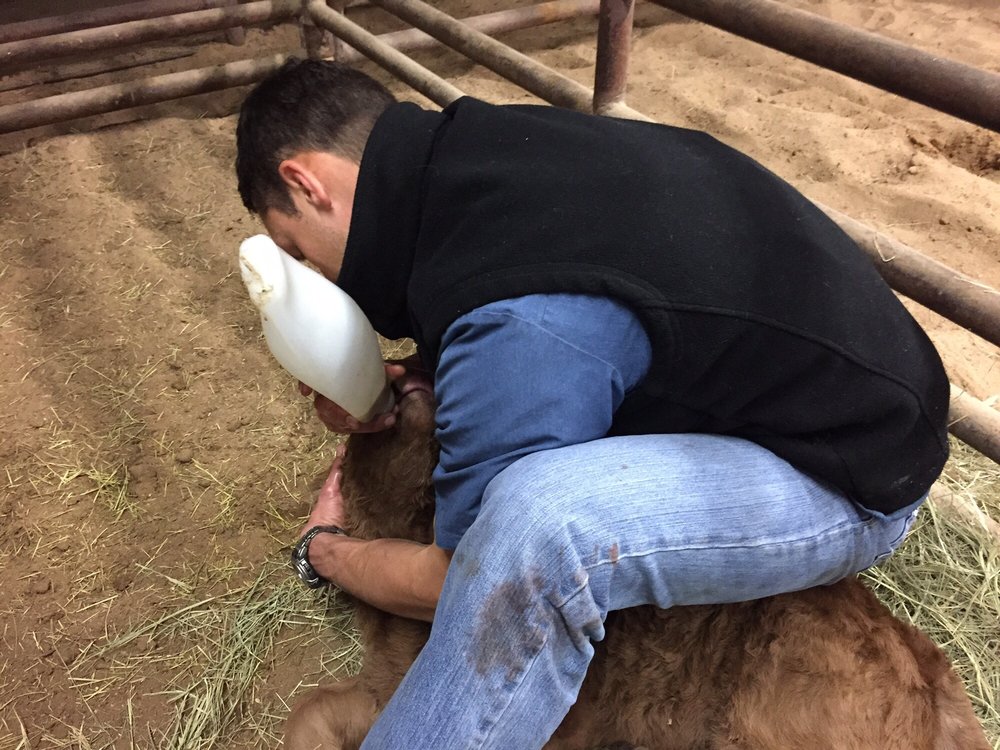 HILL COUNTRY VETERINARY CLINIC Updated September 2024 14 Reviews 2257 S State Highway 16