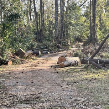 A Brother's Professional Tree Service - Part of work area - Tree Services Near Me - The Rock, Georgia A Brother's Professional Tree Service - Part of work area - Tree Services Near Me - The Rock, Georgia