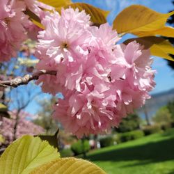 Tsuruta Park
