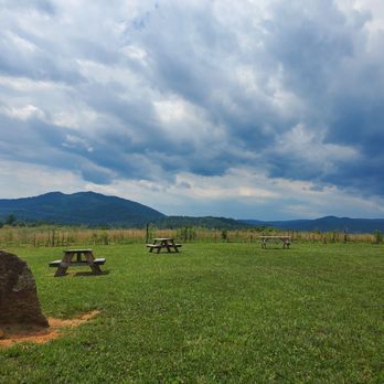 Pen Druid Brewing - Breweries Near Me - Sperryville, Virginia