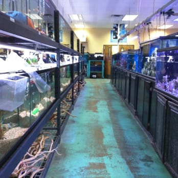 Aquatek Tropical Fish - Local Fish Stores Near Me - Austin, Texas Aquatek Tropical Fish - Local Fish Stores Near Me - Austin, Texas