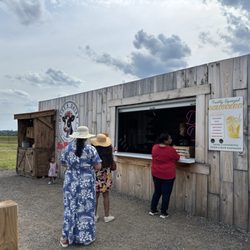 Laura's Farm Stand - Daisy's Dairy Ice Cream Stand