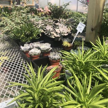 Brabham's Nursery & Landscaping II - Nurseries & Gardening Near Me - Irmo, South Carolina Brabham's Nursery & Landscaping II - Nurseries & Gardening Near Me - Irmo, South Carolina