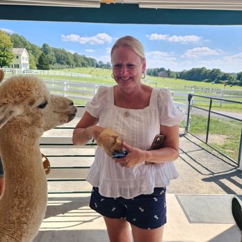 Bluebird Farm Alpacas - Alpaca farm and walking tour!! - Attraction Farms Near Me - Peapack, New Jersey Bluebird Farm Alpacas - Alpaca farm and walking tour!! - Attraction Farms Near Me - Peapack, New Jersey