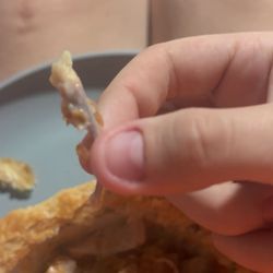 This is one of the bones i found.