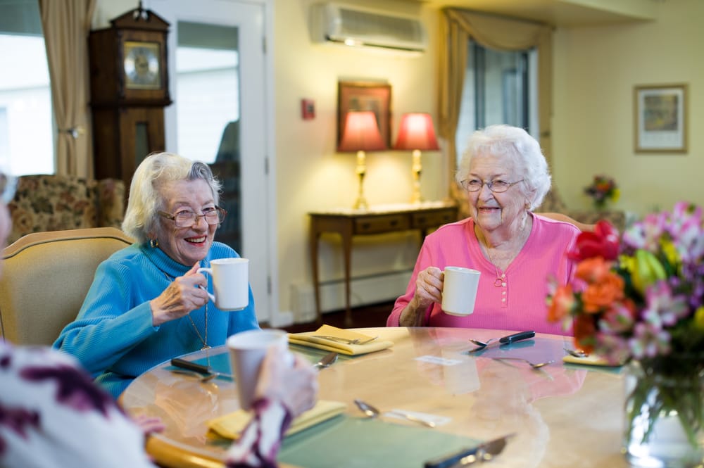 GAZEBO SENIOR LIVING Updated September 2024 1530 Williston Rd