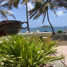 View from one of the downstairs rooms - all rooms are ocean front but the ones on the bottom floor have a wall out. Highly recommend!