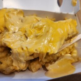 Melted Fries Melted Fries