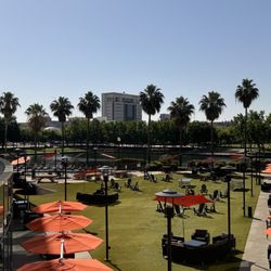 University Plaza Waterfront Hotel - The view from the second floor elevator exit. Beautiful courtyard for sure!