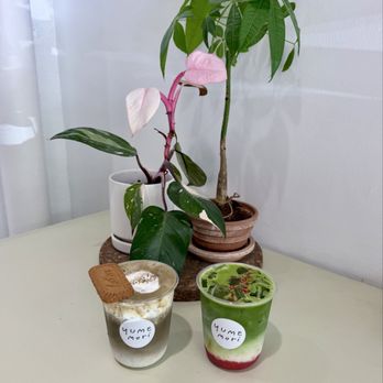 Yume Mori Matcha - hojicha tiramisu & ichigo matcha - Coffee & Tea Near Me - Berkeley, California Yume Mori Matcha - hojicha tiramisu & ichigo matcha - Coffee & Tea Near Me - Berkeley, California