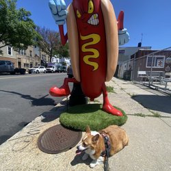 Maspit Dogs