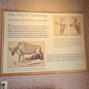 Edwin Carter Museum - Museums Near Me - Breckenridge, Colorado Edwin Carter Museum - Museums Near Me - Breckenridge, Colorado