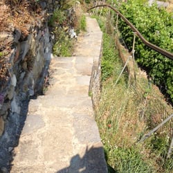 Santuario di Montenero - Trail to top from bus stop