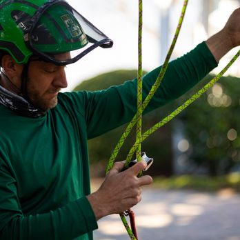 OBX Tree DOC - Tree Services Near Me - Kill Devil Hills, North Carolina OBX Tree DOC - Tree Services Near Me - Kill Devil Hills, North Carolina