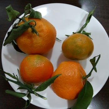 Min Dou - Fruta de temporada (gratis) - Chinese Near Me - Valencia, V Min Dou - Fruta de temporada (gratis) - Chinese Near Me - Valencia, V