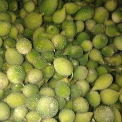 Radha Indian Grocers - What is this?