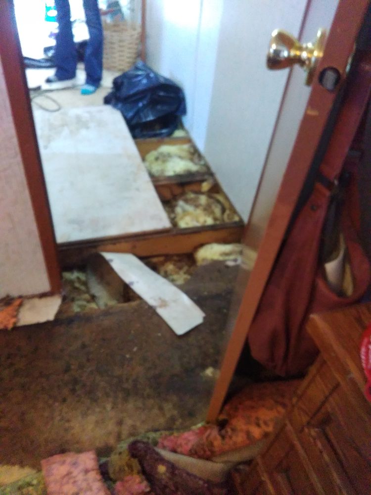 Slide of Timothy Heiple