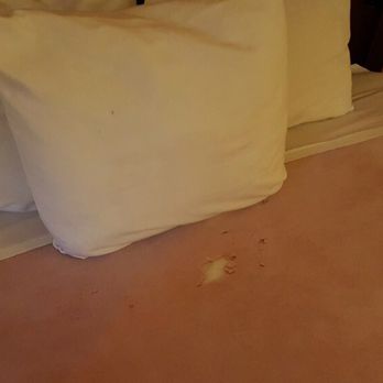 Days Inn by Wyndham Harrison - Room 117 10/20/16, blanket. - Hotels Near Me - Harrison, Arkansas Days Inn by Wyndham Harrison - Room 117 10/20/16, blanket. - Hotels Near Me - Harrison, Arkansas