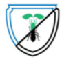 Photo of Boston Best Pest Control