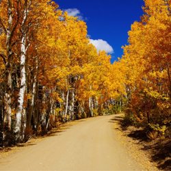 Steamboat Springs Colorado