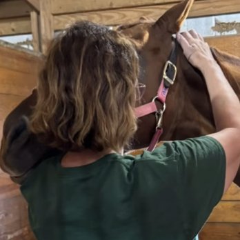 Dynamic Equine Bodywork - Holistic Animal Care Near Me Dynamic Equine Bodywork - Holistic Animal Care Near Me