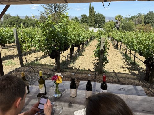 Matthiasson Winery by null