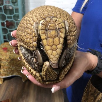 Pacodu Exotics - Zoos Near Me