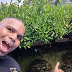 Island Dolphin Care - Nurse shark habitat