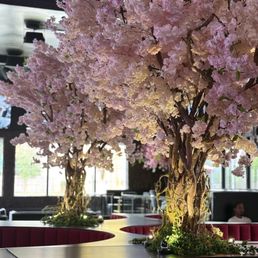 FORGET ME NOT - Updated December 2025 - 238 Photos & 208 Reviews - 5922