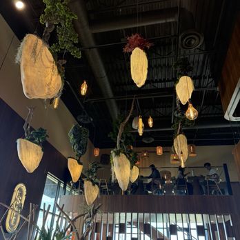 Escape 360 - Hanging bonsai - Coffee & Tea Near Me - Carrollton, Texas Escape 360 - Hanging bonsai - Coffee & Tea Near Me - Carrollton, Texas