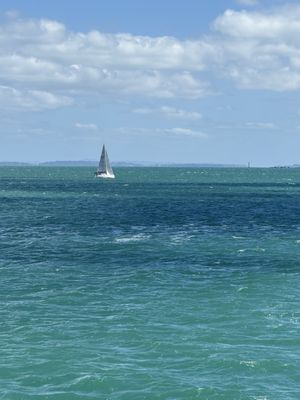 Waiheke Island by null