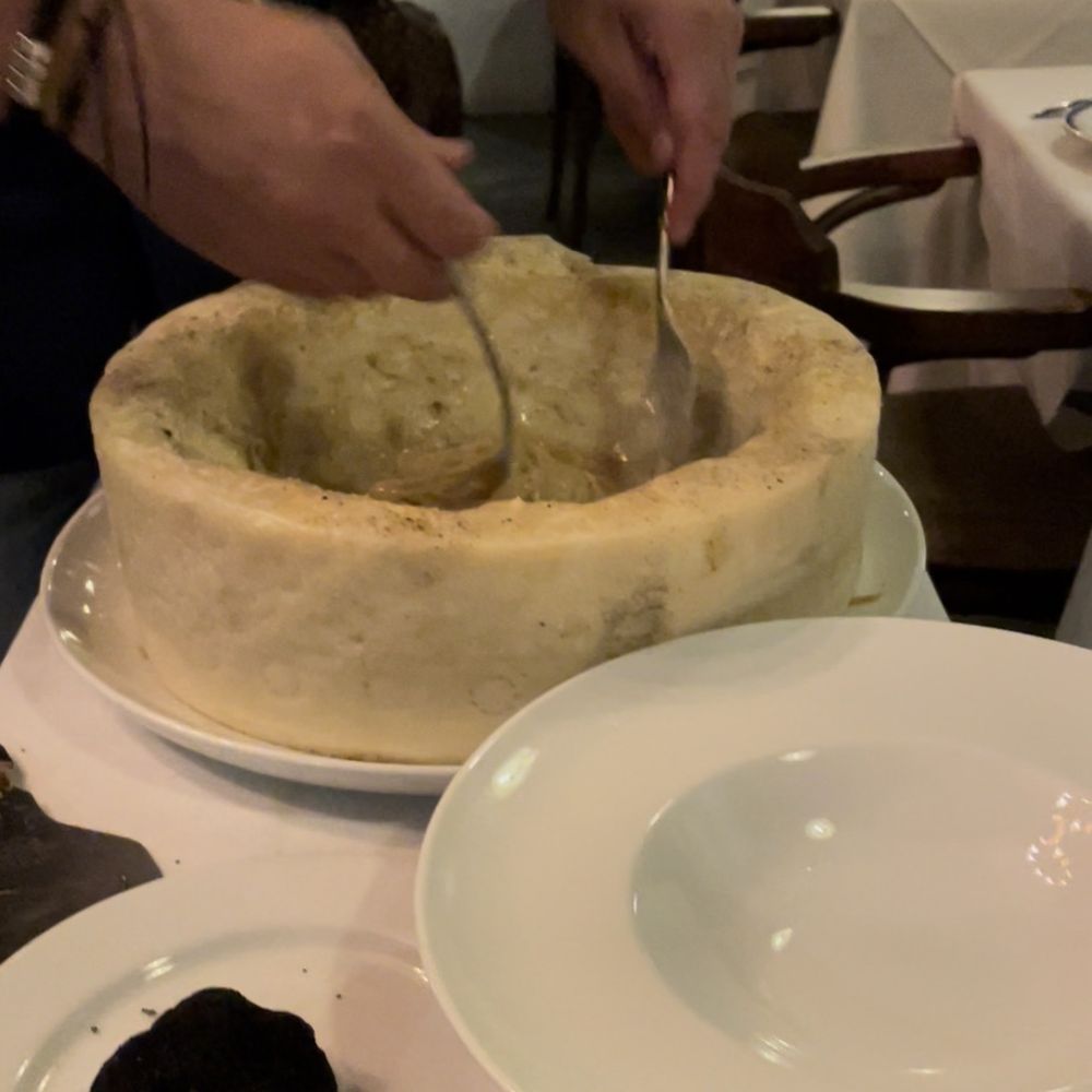 Osteria - Special: cheese pasta with shaved truffles - Italian Near Me - Miami, Florida Osteria - Special: cheese pasta with shaved truffles - Italian Near Me - Miami, Florida
