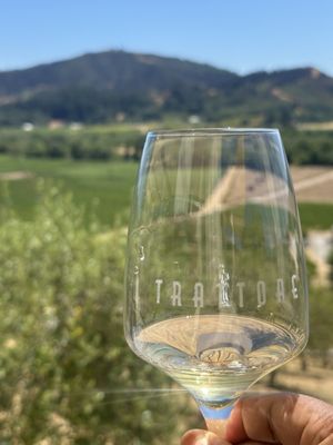 Trattore Farms and Winery by null