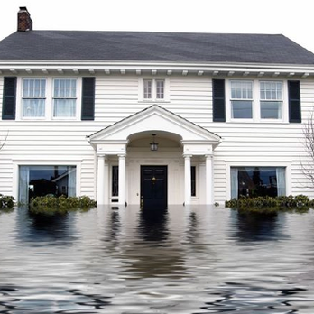 Benchmark Restoration Cleaning 22 Photos Carpet Cleaning 6800 N Basin Ave Portland Or Phone Number