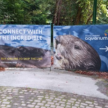 Vancouver Aquarium - Aquariums Near Me - Vancouver, British Columbia Vancouver Aquarium - Aquariums Near Me - Vancouver, British Columbia