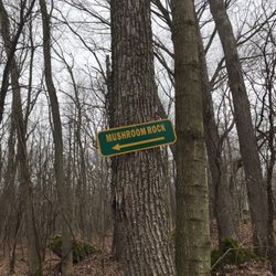 MacKay Wildlife Preserve
