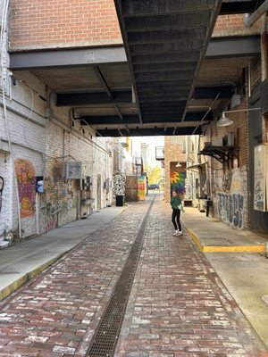 Fishbone Alley by null