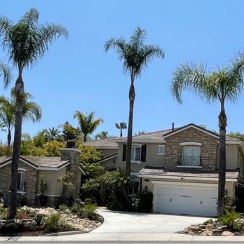 Peña’s Landscape Care - palm trees in front of a house - Landscaping Near Me Peña’s Landscape Care - palm trees in front of a house - Landscaping Near Me