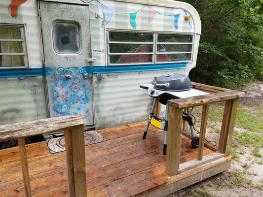 Savannah's Meadow by null