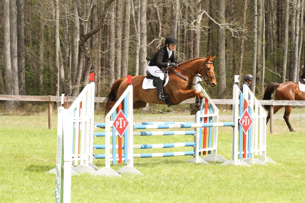 SLB Equestrian - equestrian in Prole, IA