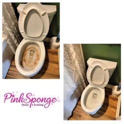 Pink Sponge Maids - Satisfying before and after!
