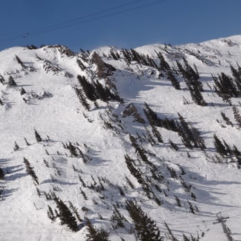 Snowbird - On the Peruvian Gulch side, the double black runs that go under the tram. - Ski Resorts Near Me - Snowbird, Utah