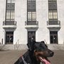 Photo of Oregon State Library